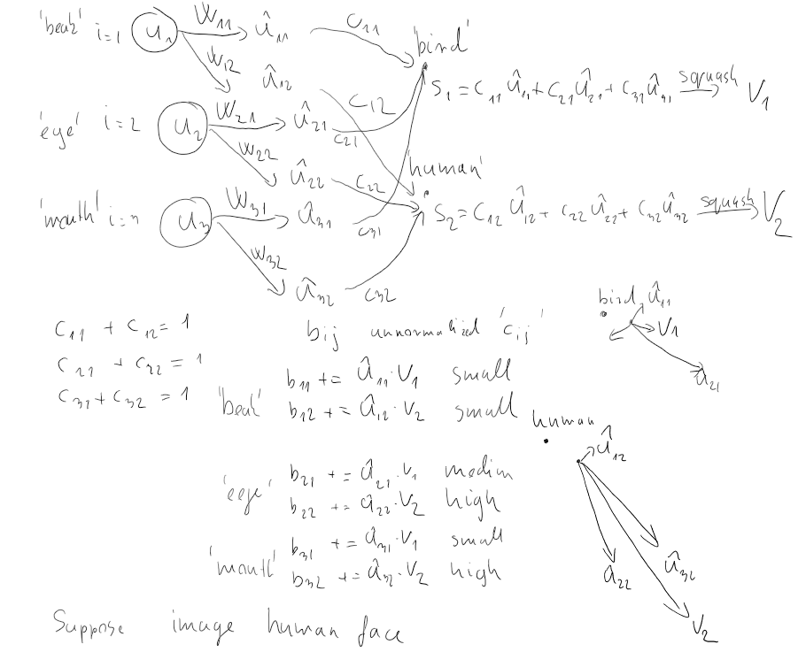 capsnet7