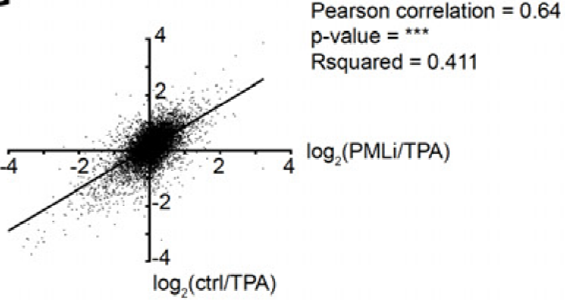 regression13.png